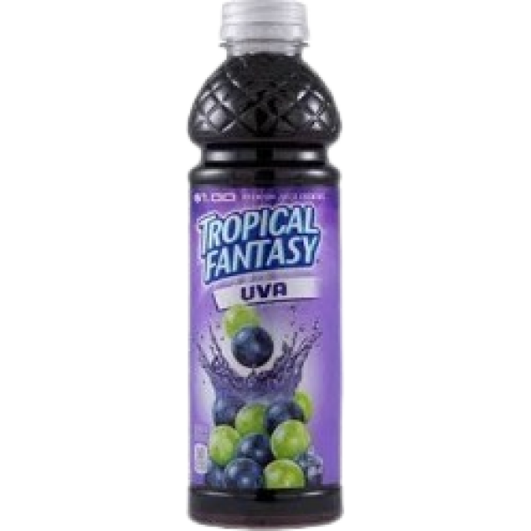 Tropical Fantasy